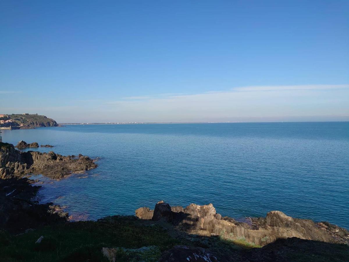 4Rb4 Appartement Type T2 Bord De Mer Acces Plage Direct 科利尤尔 外观 照片