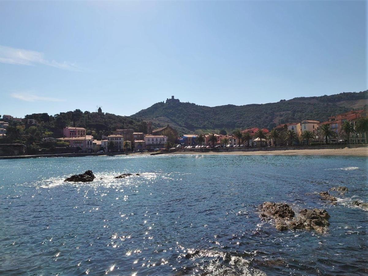 4Rb4 Appartement Type T2 Bord De Mer Acces Plage Direct 科利尤尔 外观 照片