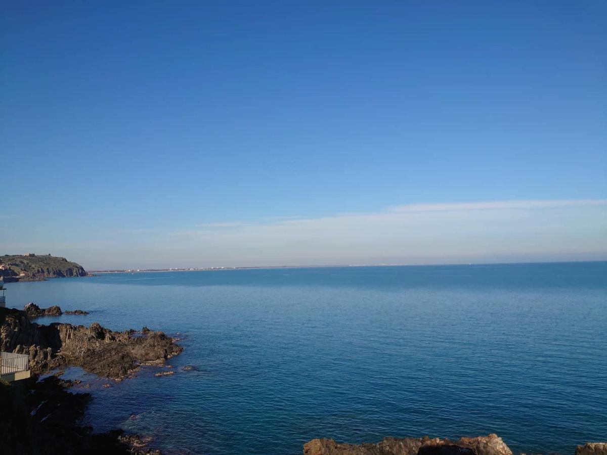 4Rb4 Appartement Type T2 Bord De Mer Acces Plage Direct 科利尤尔 外观 照片