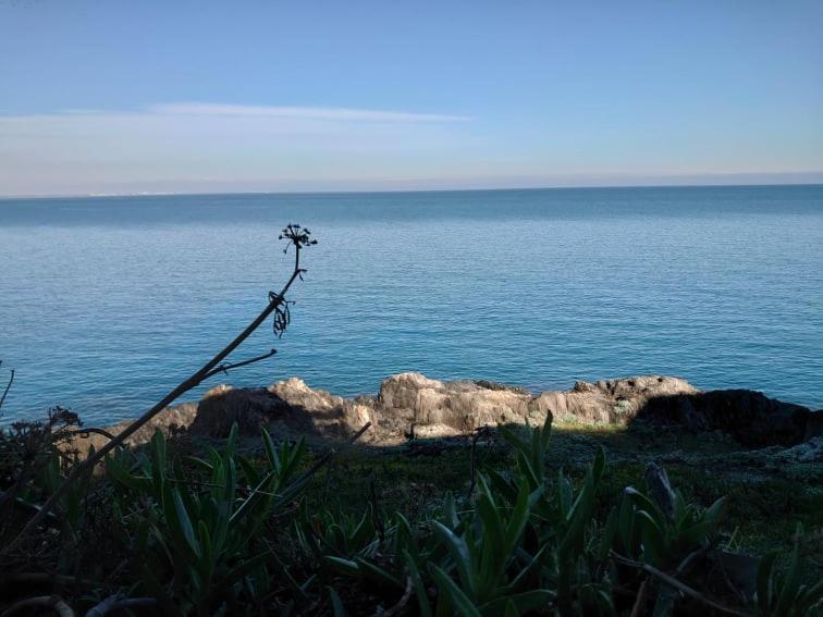 4Rb4 Appartement Type T2 Bord De Mer Acces Plage Direct 科利尤尔 外观 照片