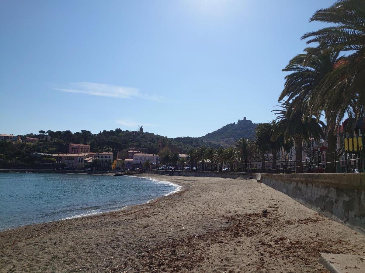 4Rb4 Appartement Type T2 Bord De Mer Acces Plage Direct 科利尤尔 外观 照片
